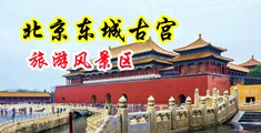 黄色网站操逼视频播放中国北京-东城古宫旅游风景区